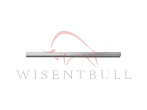 Кузовные пороги для Nissan Murano Z50