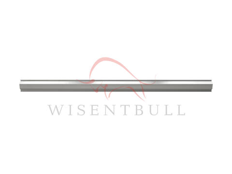 Кузовные пороги для Volkswagen Multivan T4