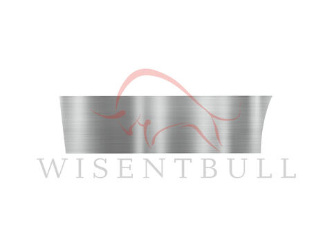 Ремкомплект задней двери для Toyota Opa (1999–2005)