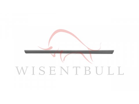 Кузовные пороги для Mitsubishi Space Wagon II