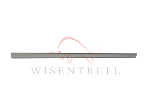 Кузовные пороги для Audi RS5 B8