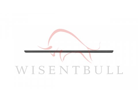 Кузовные пороги для Mitsubishi Galant Fortis