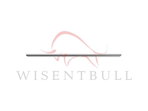 Кузовные пороги для Haima 323