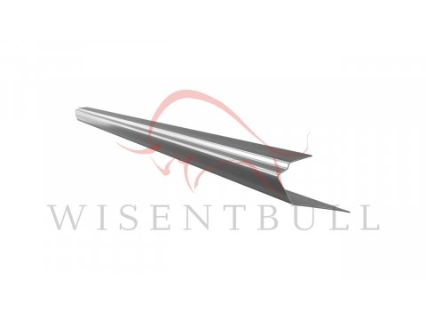 Кузовные пороги для Renault Megane III