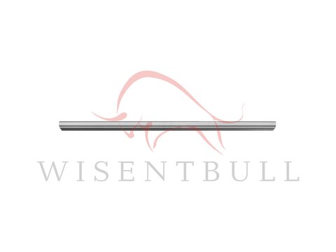 Кузовные пороги для Ford F-Series XII