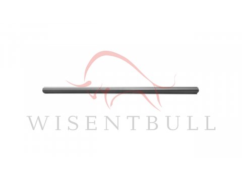 Кузовные пороги для Toyota Raum NCZ20