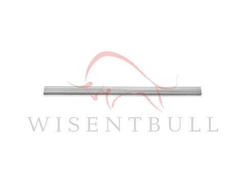 Кузовные пороги для Lexus LS USF40