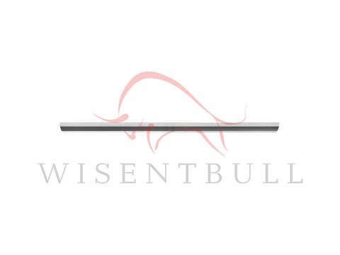 Кузовные пороги для Mercedes-Benz SLC C107