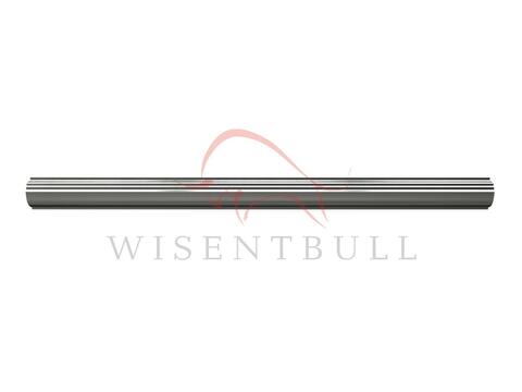 Кузовные пороги для Nissan Expert