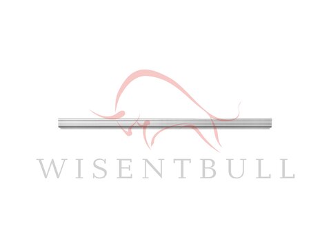 Кузовные пороги для Mercedes-Benz GL X164