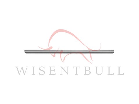 Кузовные пороги для Renault Grand Espace IV