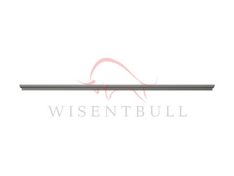 Кузовные пороги для Toyota Paseo I