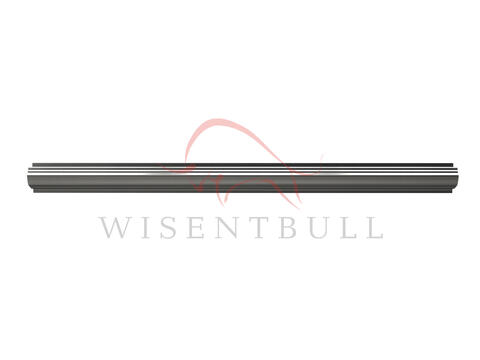 Кузовные пороги для Toyota Wish I