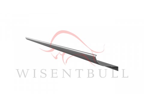 Кузовные пороги для Renault Scenic I