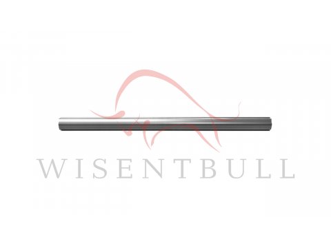 Кузовные пороги для Nissan Skyline Coupe CV35