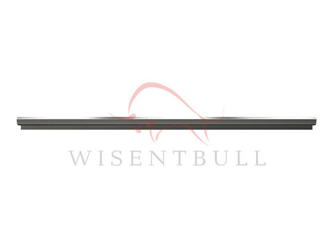 Кузовные пороги для Renault Sandero I