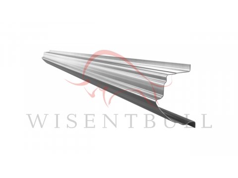 Кузовные пороги для Nissan Leaf I