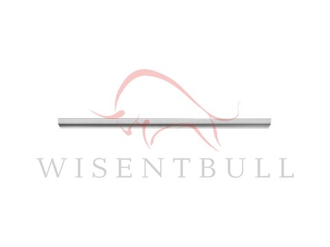 Кузовные пороги для Nissan Presage U30