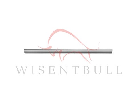 Кузовные пороги для Ford Focus II