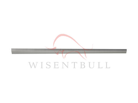 Кузовные пороги для Audi RS3 8V