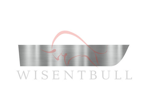 Ремкомплект двери BMW 3-серии E92/E93 (2006–2014)