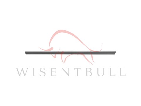 Кузовные пороги для Ford Galaxy I