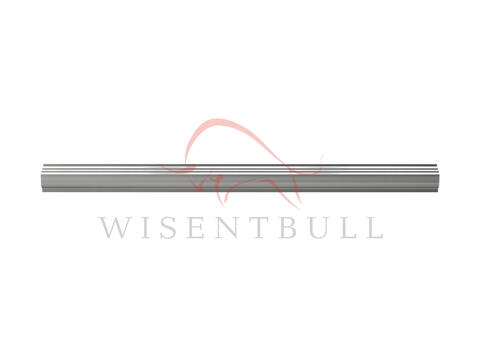 Кузовные пороги для Peugeot J5