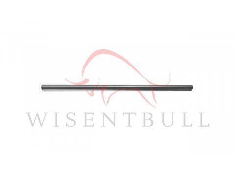 Кузовные пороги для Asuna GT