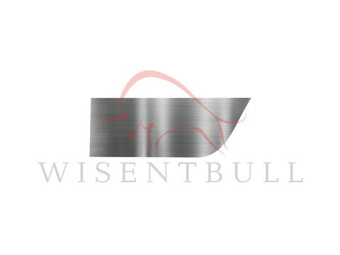 Ремкомплект задней двери для BMW X5 E53 (2004–2007)