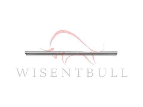 Кузовные пороги для Nissan Sentra B15