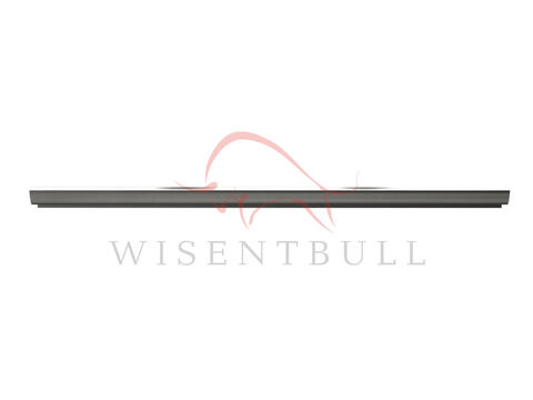 Кузовные пороги для Nissan Sentra B17