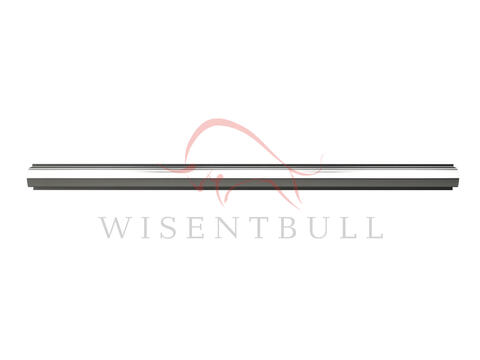 Кузовные пороги для Renault Latitude