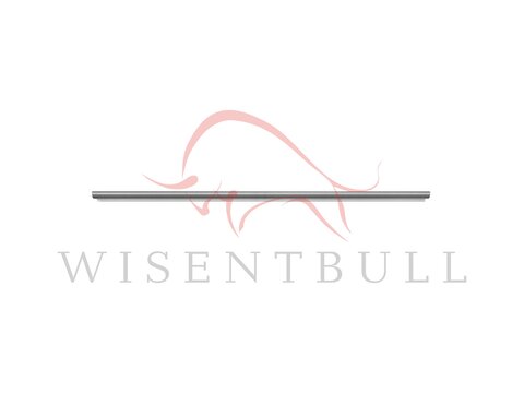 Кузовные пороги для Mazda 3 II