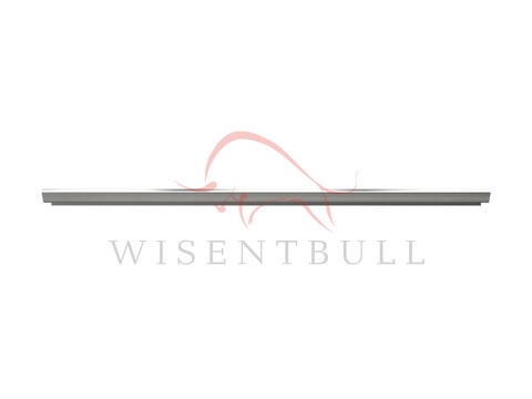 Кузовные пороги для Honda Accord CS Coupe