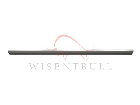 Кузовные пороги для Audi RS6 C5