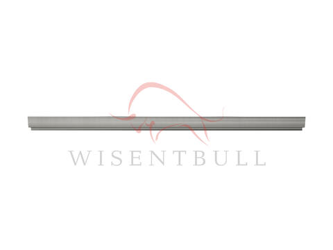 Кузовные пороги для Ford Aerostar