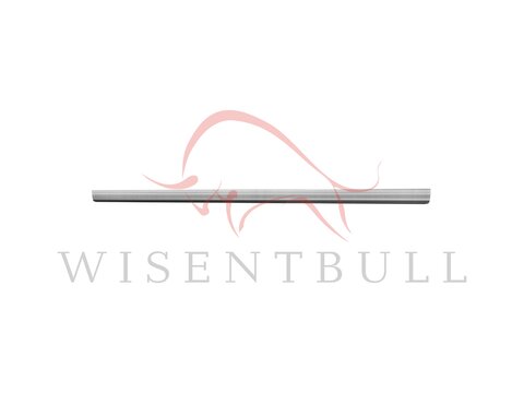 Кузовные пороги для Renault Megane II