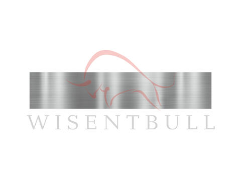 Ремкомплект передней двери для BMW X5 E70 (2007–2013)