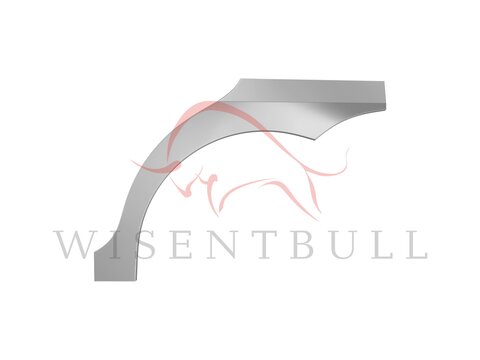 Задняя арка Pontiac Wave T250 (2008–2009)