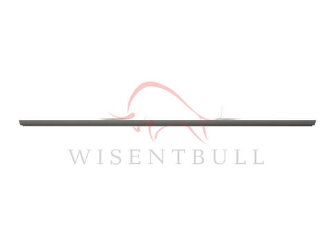 Кузовные пороги для Mitsubishi Delica D3