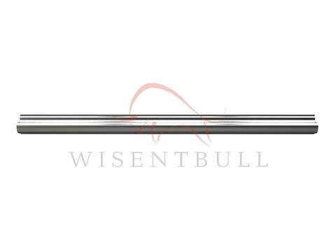 Кузовные пороги для Renault Modus