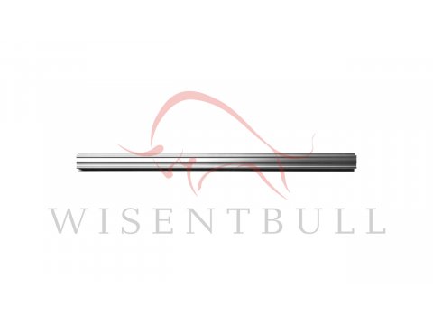 Кузовные пороги для Lexus IS XE20