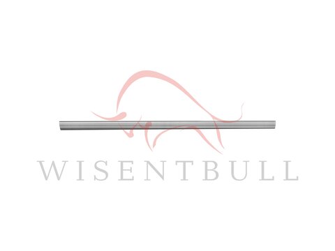 Кузовные пороги для Audi A6 Allroad C6