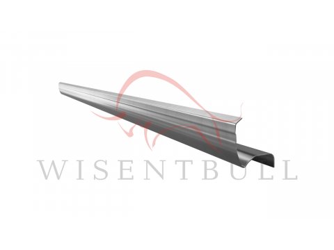 Кузовные пороги для Citroen C4 I