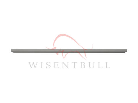 Кузовные пороги для Mitsubishi Space Runner II