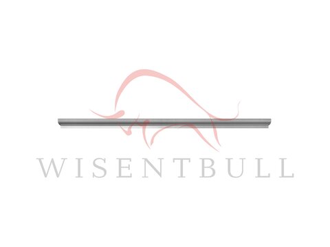 Кузовные пороги для Toyota Starlet P80