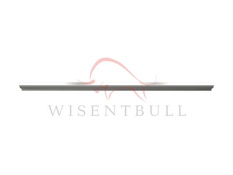 Кузовные пороги для Toyota Voxy I