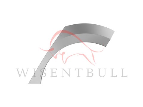 Задняя арка Renault Scenic IV (2016–2022)