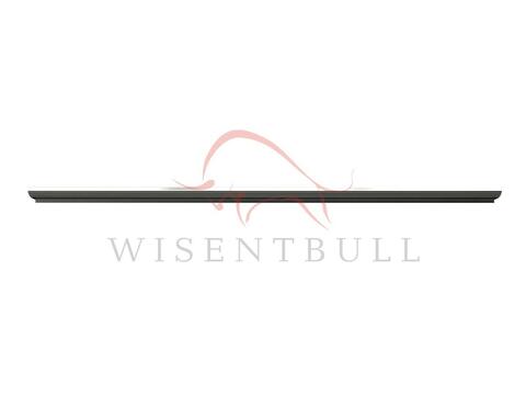 Кузовные пороги для Chrysler Town & Country III