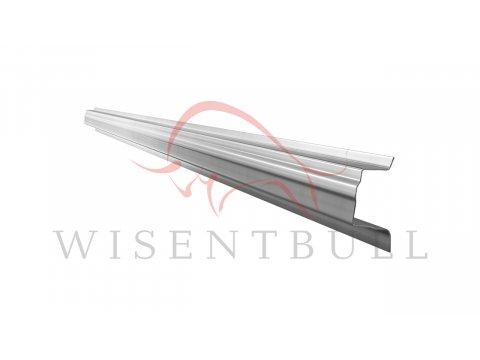 Кузовные пороги для Nissan Rogue I